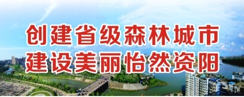 日屃免费区创建省级森林城市 建设美丽怡然资阳